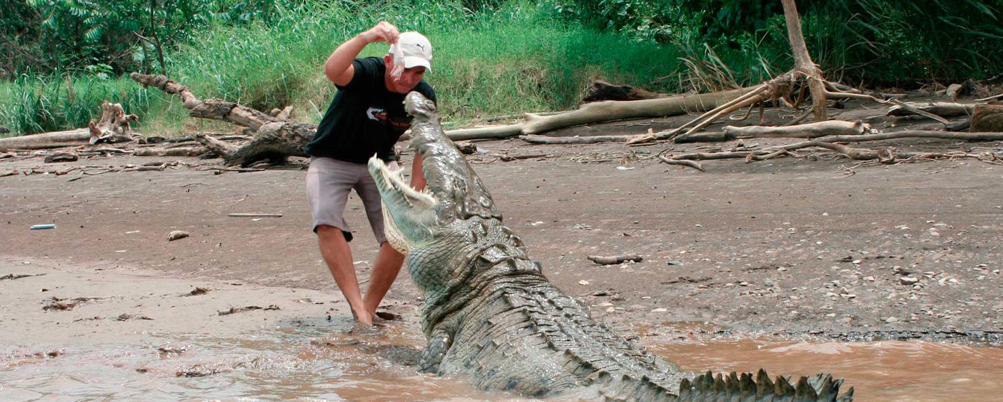 Crocodile Safari Costa Rica, Jaco Adventures Transfers & Tours