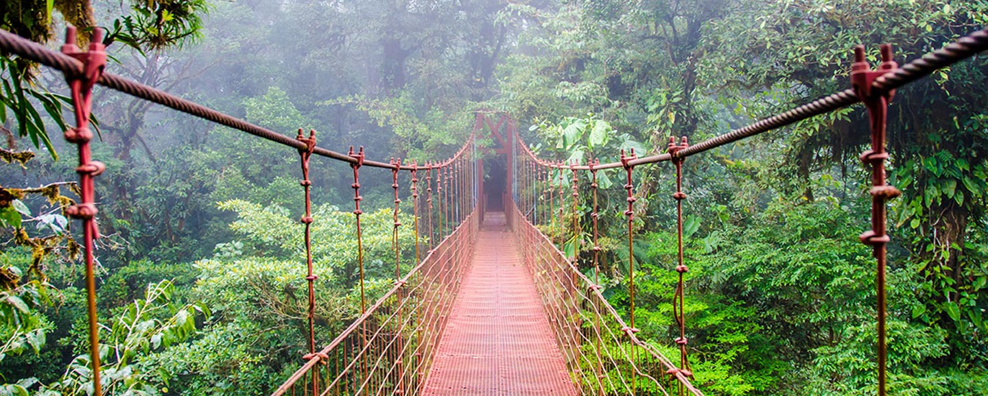 Monteverde Cloud Forest Costa Rica, Jaco Adventures Transfers & Tours